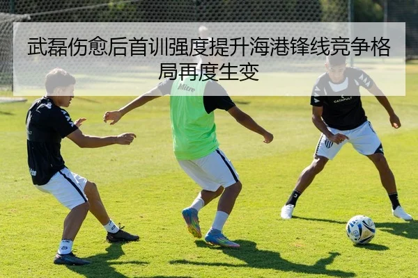 武磊伤愈后首训强度提升海港锋线竞争格局再度生变
